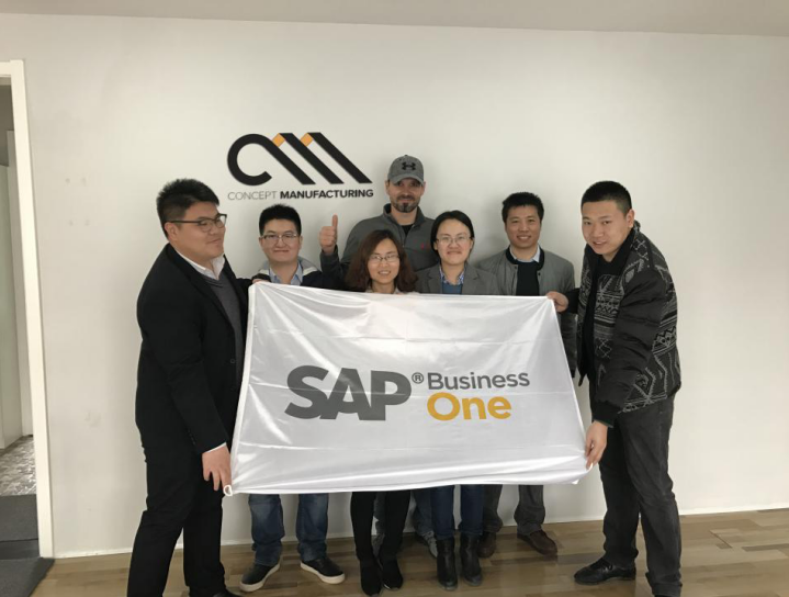 SAP外貿行業ERP實例