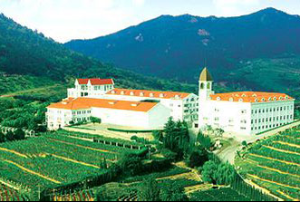 釀酒業ERP,酒業ERP,葡萄酒ERP,食品行業ERP,華東葡萄酒,酒業SAP,SAP酒業成功案例 釀酒業ERP,酒業ERP,葡萄酒ERP,食品行業ERP,華東葡萄酒,酒業SAP,SAP酒業成功案例